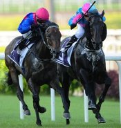 Flax (Barend Vorster, outside) and Nandowra (Manoel Nunes) stage a titanic battle which went the way of the former.<br>Photo by Singapore Turf Club